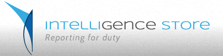 The Intelligence Store: Website Design Questionnaire