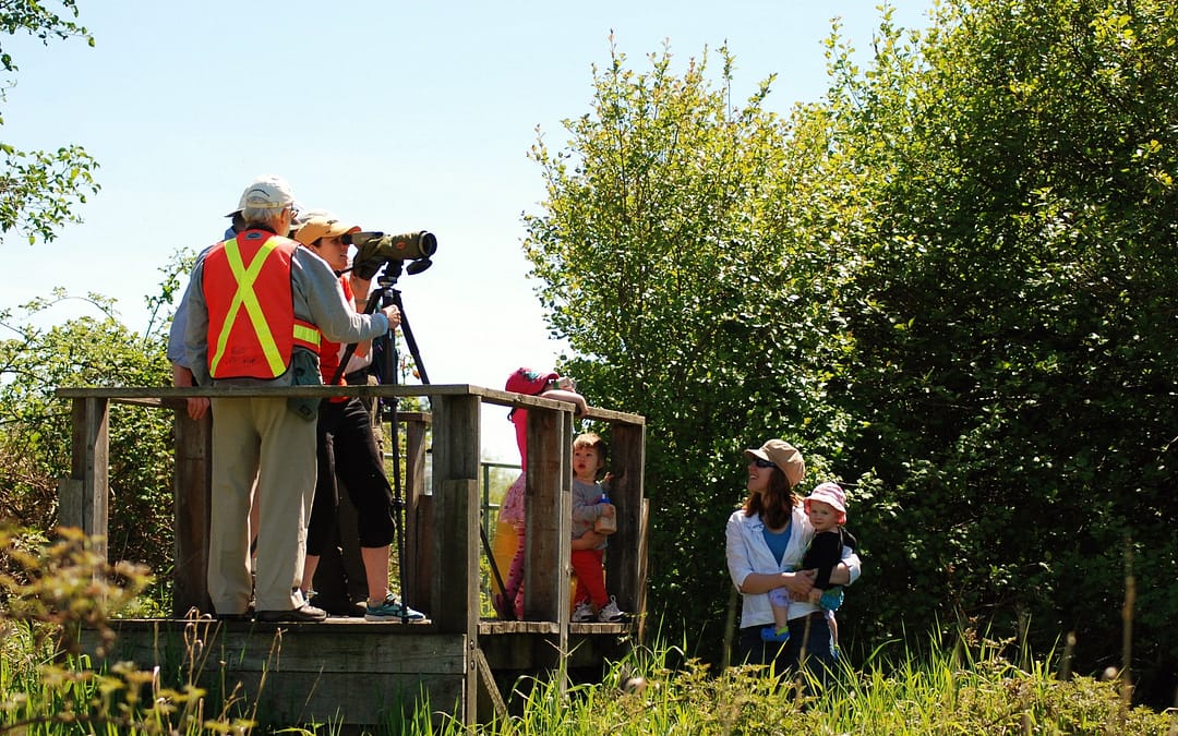 Project Watershed Presents: Birding for All Ages